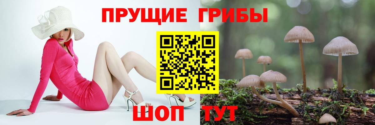 Галлюциногенные грибы прущие грибы Дивногорск